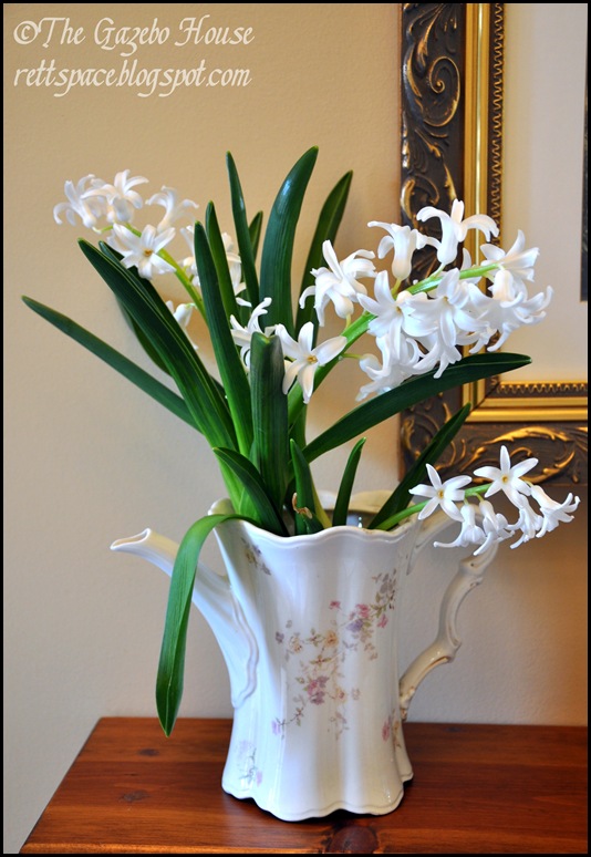 Liliacs, daffodills, cyclamen 019