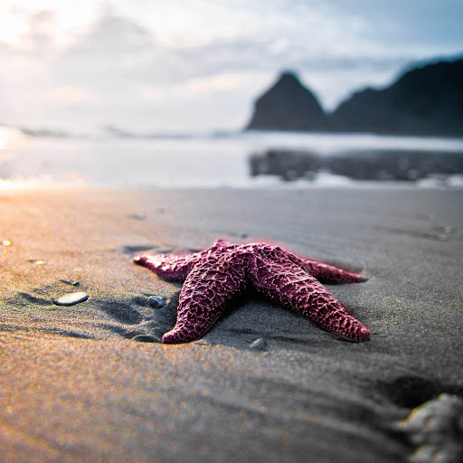 Hd-150771-ascw150771