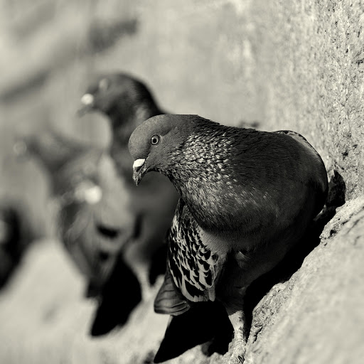 Hd-157188-ascw157188