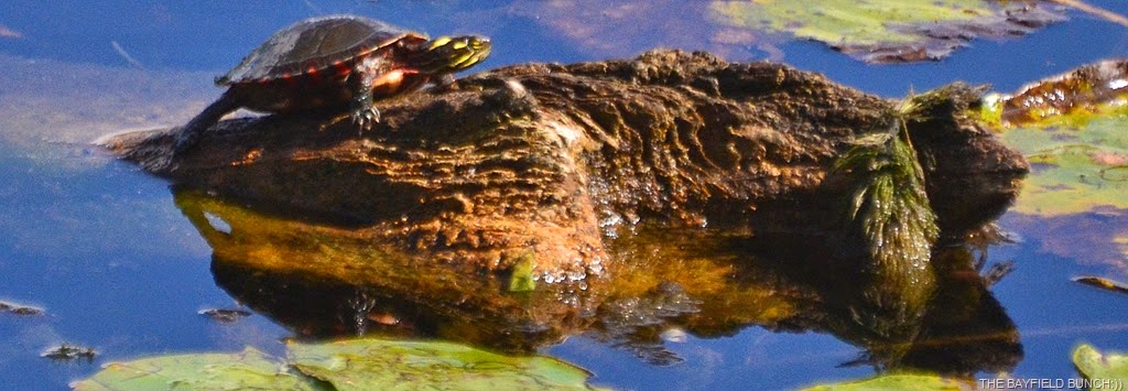 [DSC_0014-001%255B4%255D.jpg]