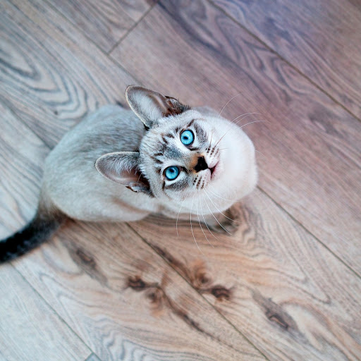 Hd-181035-ascw181035