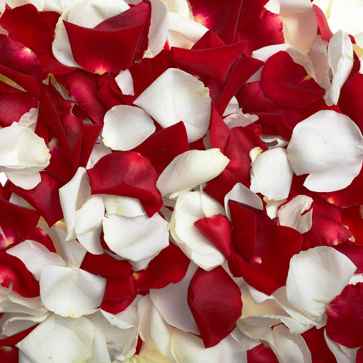 Hd-146293-ascw146293