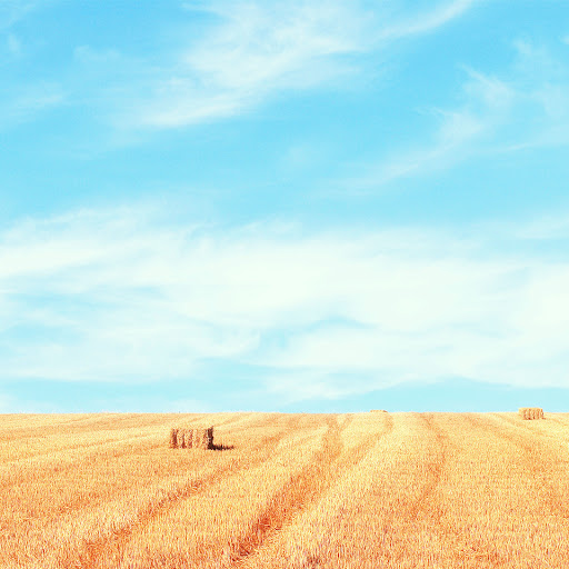 Hd-136323-ascw136323