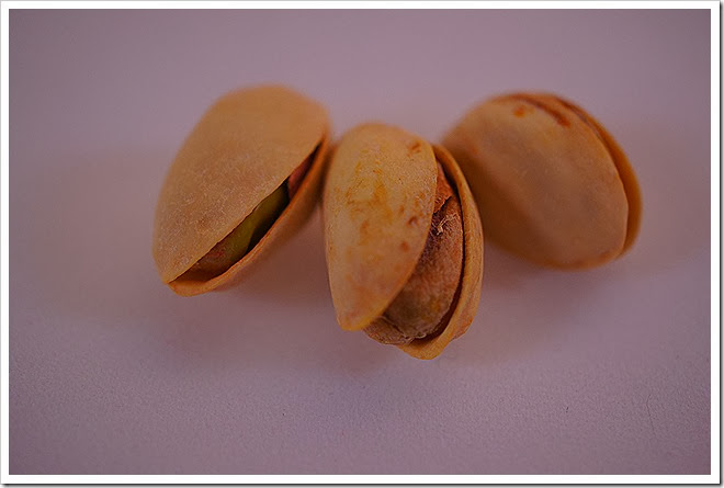 pistachios-free-pictures-1 (1373)