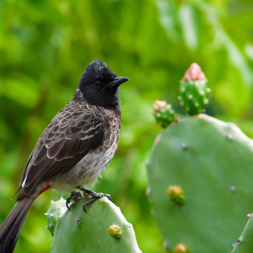 Hd-152844-ascw152844