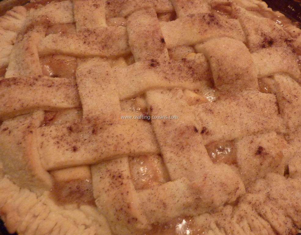 [The%2520best%2520pie%2520crust%2520you%2527ve%2520ever%2520tasted%255B3%255D.jpg]