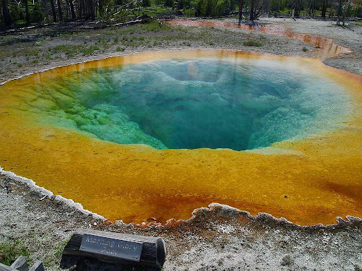 Morning-glory-pool