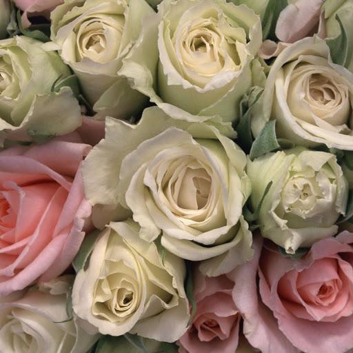 Hd-139365-ascw139365