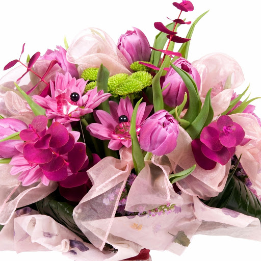 Hd-168845-ascw168845