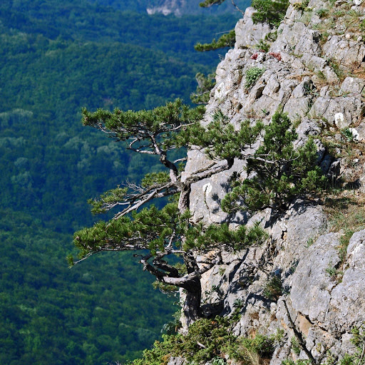 Hd-132150-ascw132150