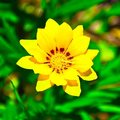 Hd-132242-ascw132242