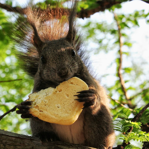 Hd-142903-ascw142903