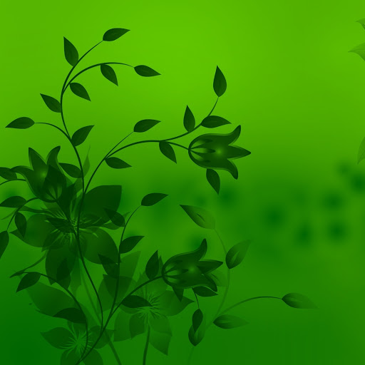 Hd-155620-ascw155620