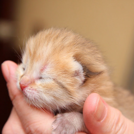 Hd-138278-ascw138278