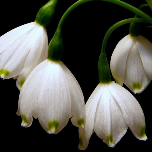 Hd-143851-ascw143851