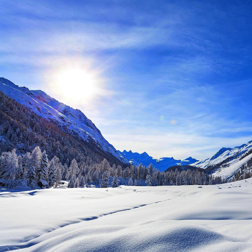 Hd-164517-ascw164517