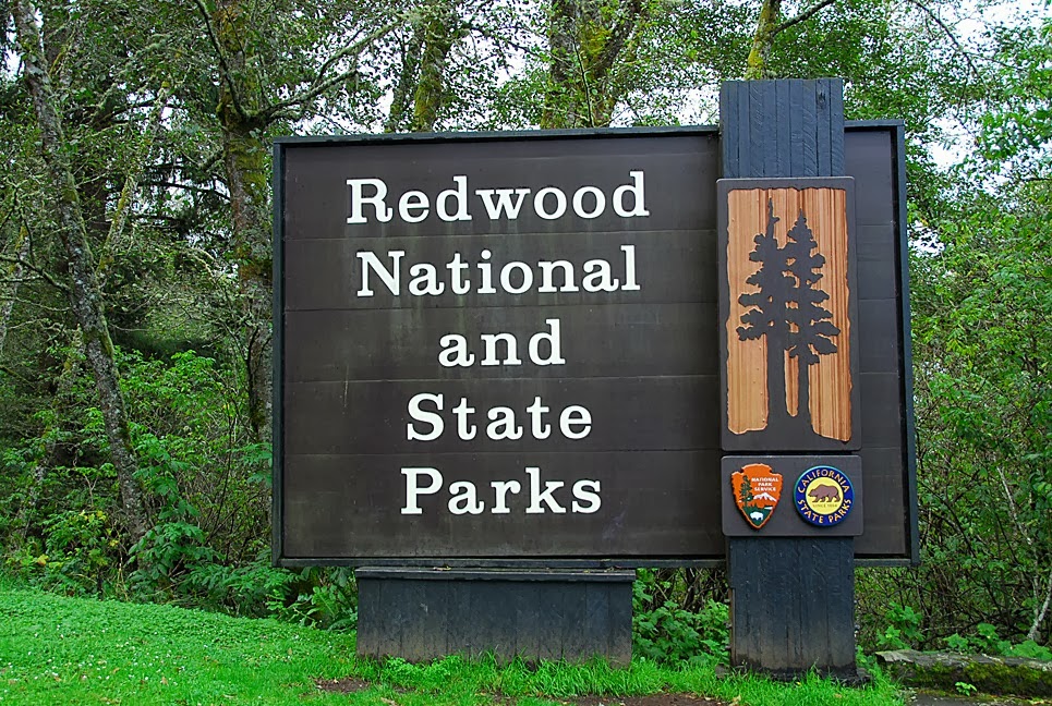 [Redwood-National-and-State-Parks-Sig%255B2%255D.jpg]