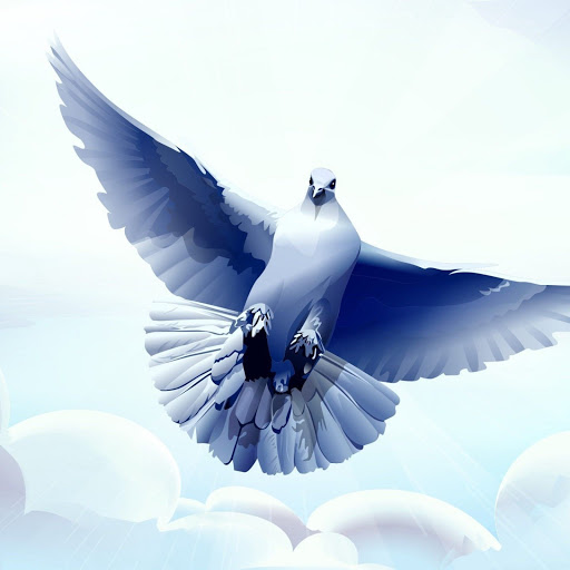 Hd-150217-ascw150217