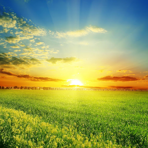 Hd-185320-ascw185320