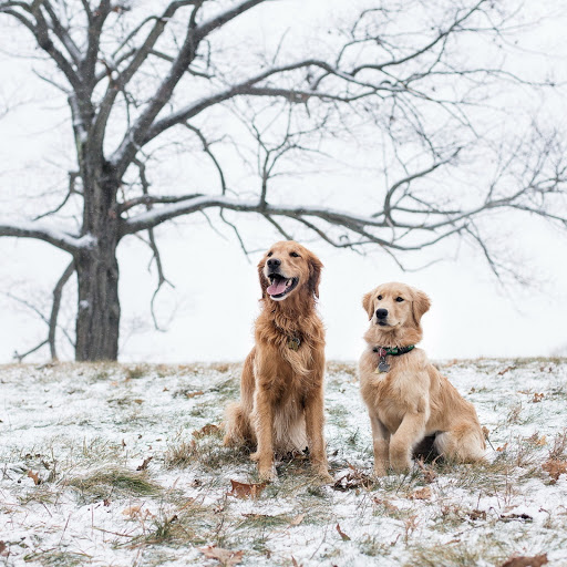 Hd-180695-ascw180695