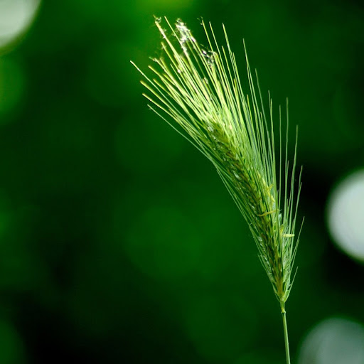 Hd-167999-ascw167999