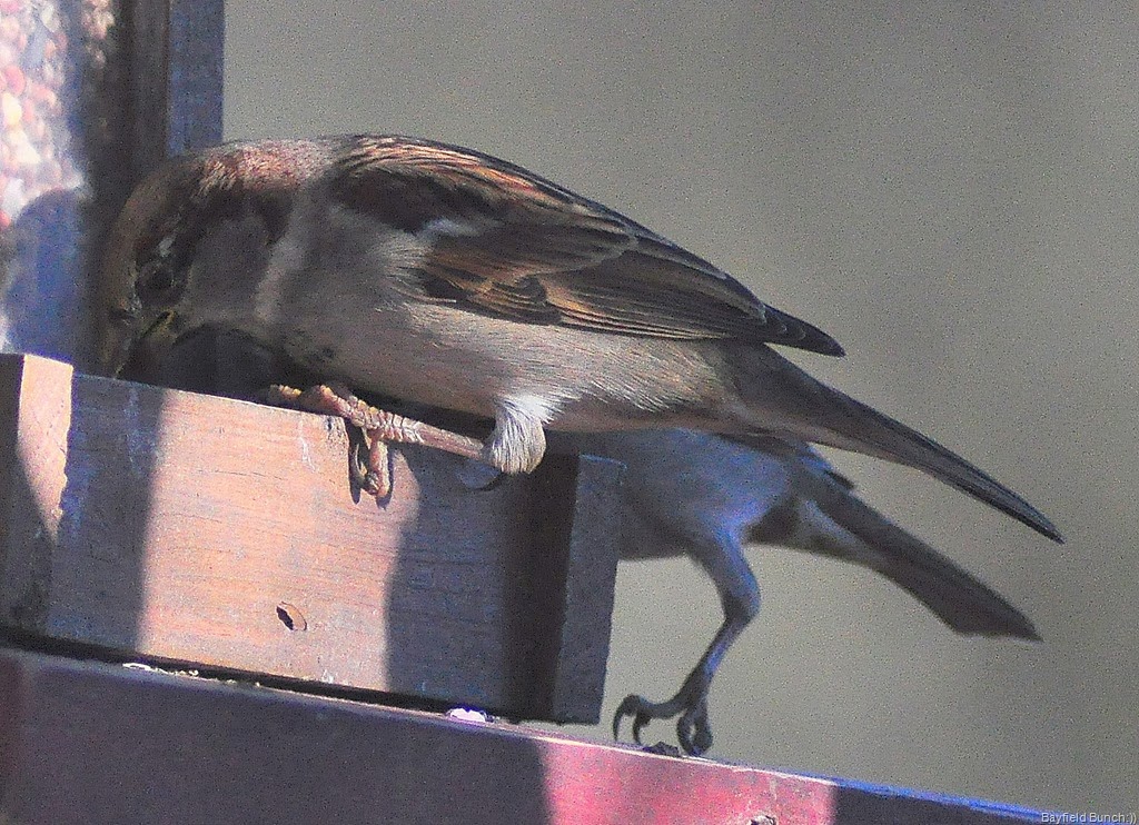 [DSC_0075%255B5%255D.jpg]