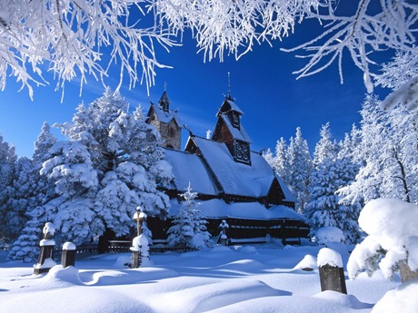 imagini de iarna
