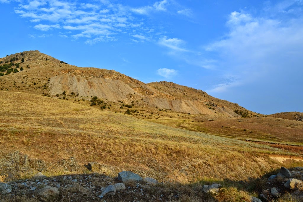 [DSC_75013.jpg]