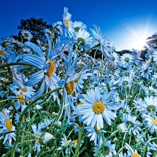 Hd-142223-ascw142223