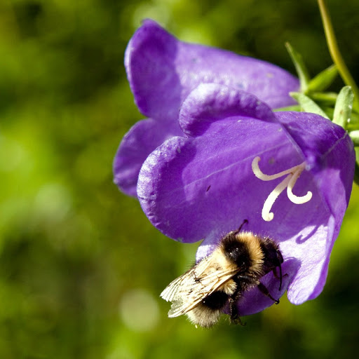 Hd-146618-ascw146618