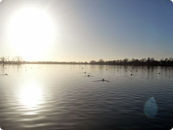 Damhussøen november 2014