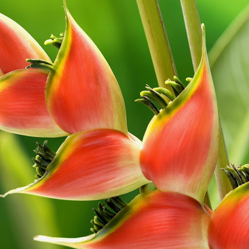 Hd-146609-ascw146609