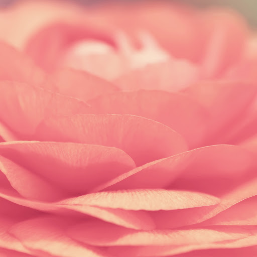 Hd-136342-ascw136342