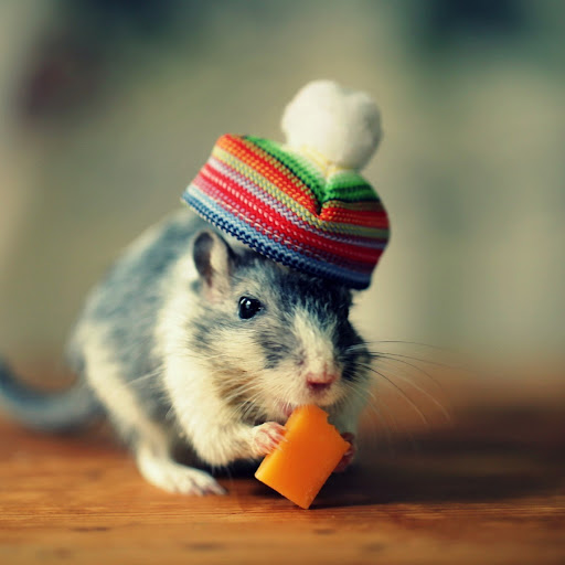 Hd-168515-ascw168515