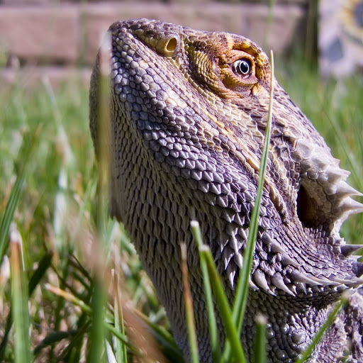 Hd-139962-ascw139962