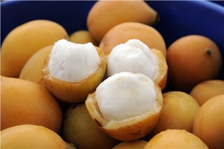 [AchachairuOpen2.jpg]