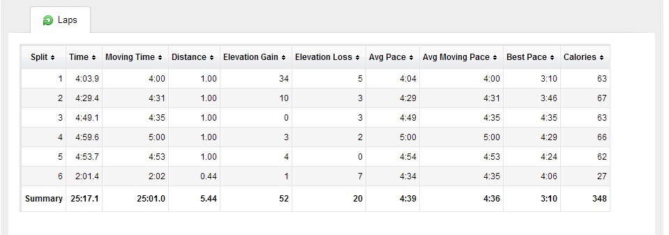 [Larian-Kitar-Semula-5km-splits4.jpg]