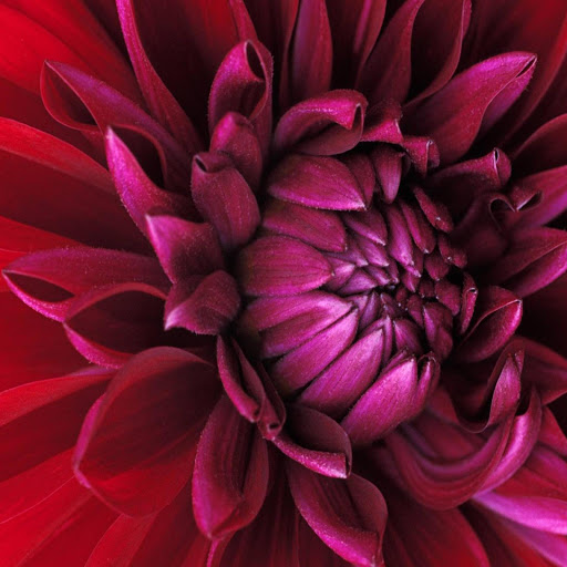 Hd-169912-ascw169912