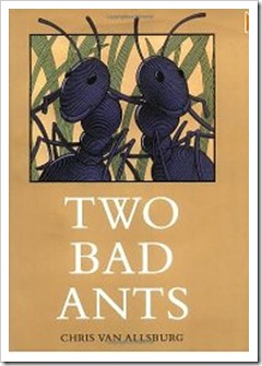 ants