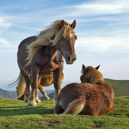 Hd-173550-ascw173550