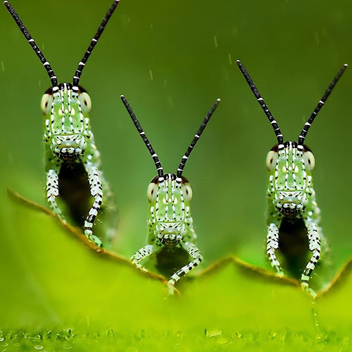 Hd-147659-ascw147659