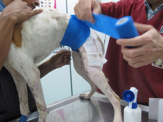 [IMG_1201%255B3%255D.jpg]
