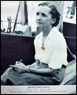 02b - Rachel Carson - photo