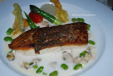 Air flown Ocean fish, serve with Brittany winkles in light ginger nage