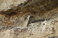 IMG_4824 IMG_4824
