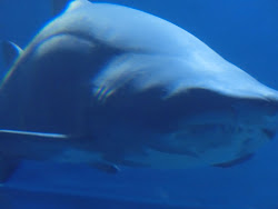 2012-10-20 Mallorca by BREITENGRAD53 - 207