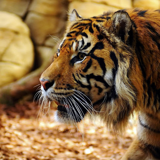 Hd-134698-ascw134698