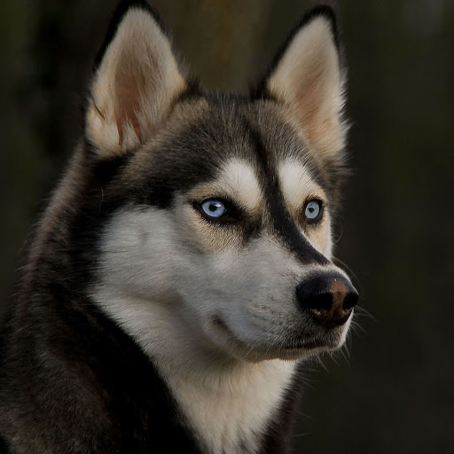 Hd-182630-ascw182630