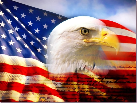 bald_eagle_head_and_american_flag1