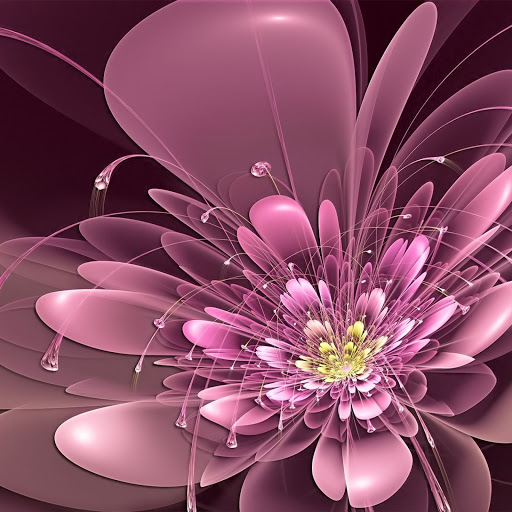 Hd-155214-ascw155214